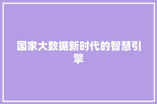 国家大数据新时代的智慧引擎