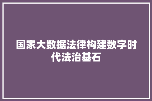 国家大数据法律构建数字时代法治基石