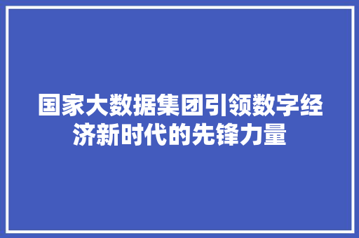 国家大数据集团引领数字经济新时代的先锋力量