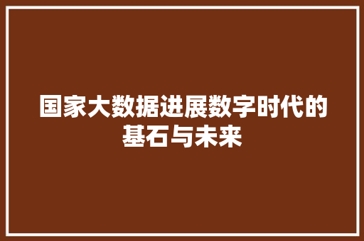 国家大数据进展数字时代的基石与未来