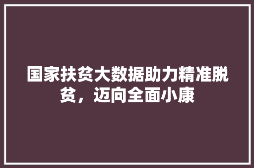 国家扶贫大数据助力精准脱贫，迈向全面小康