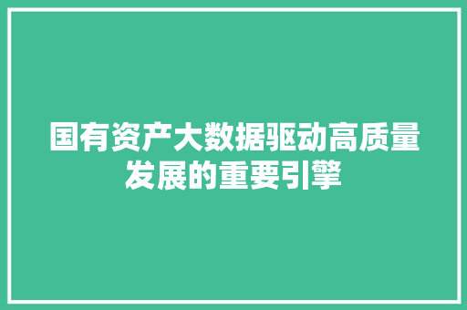 国有资产大数据驱动高质量发展的重要引擎