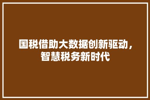 国税借助大数据创新驱动，智慧税务新时代
