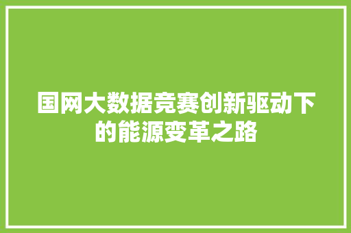 国网大数据竞赛创新驱动下的能源变革之路