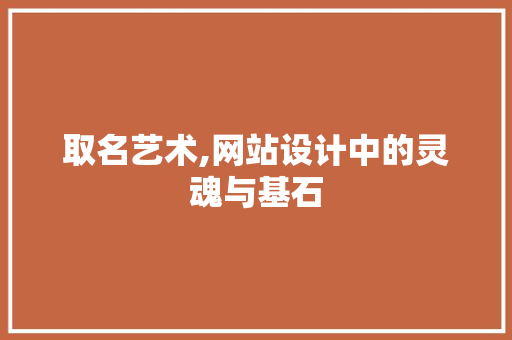 取名艺术,网站设计中的灵魂与基石