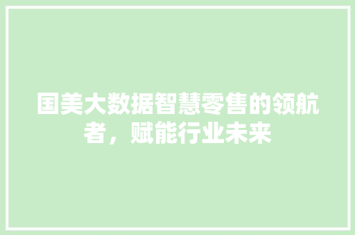 国美大数据智慧零售的领航者，赋能行业未来