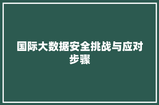 国际大数据安全挑战与应对步骤