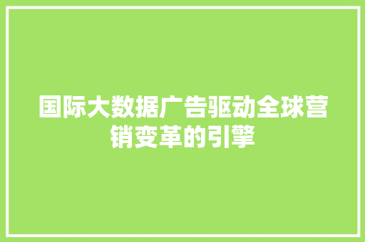 国际大数据广告驱动全球营销变革的引擎