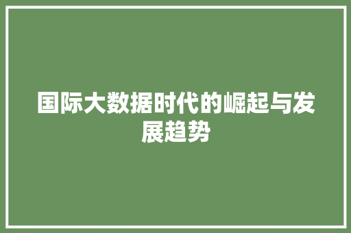 国际大数据时代的崛起与发展趋势