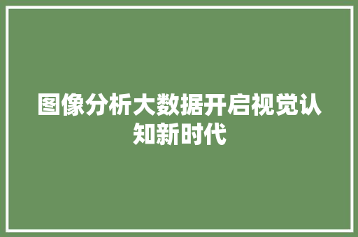 图像分析大数据开启视觉认知新时代