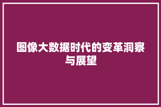 图像大数据时代的变革洞察与展望