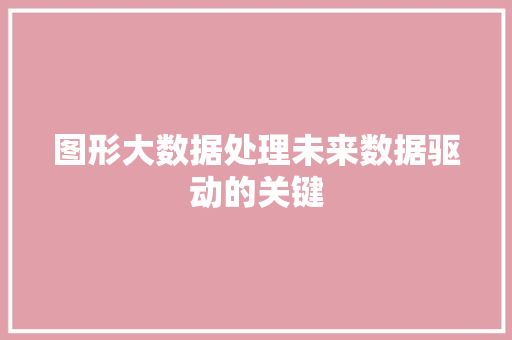 图形大数据处理未来数据驱动的关键