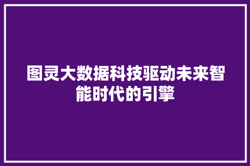 图灵大数据科技驱动未来智能时代的引擎