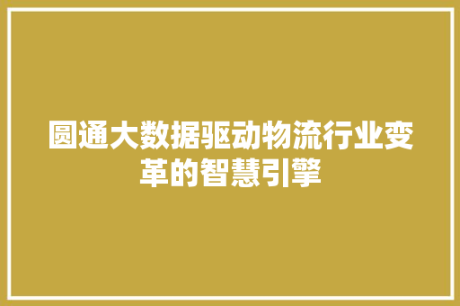 圆通大数据驱动物流行业变革的智慧引擎