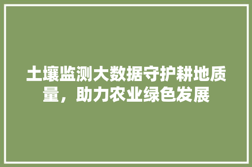土壤监测大数据守护耕地质量，助力农业绿色发展 Web前端