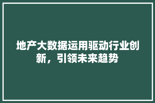 地产大数据运用驱动行业创新，引领未来趋势