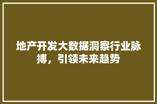地产开发大数据洞察行业脉搏，引领未来趋势