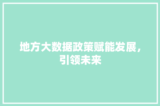 地方大数据政策赋能发展，引领未来