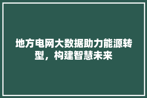 地方电网大数据助力能源转型，构建智慧未来