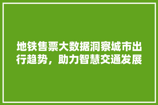 地铁售票大数据洞察城市出行趋势，助力智慧交通发展