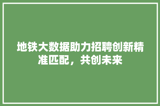 地铁大数据助力招聘创新精准匹配，共创未来 WordPress教程