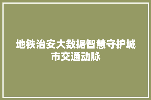 地铁治安大数据智慧守护城市交通动脉