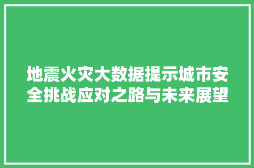 地震火灾大数据提示城市安全挑战应对之路与未来展望