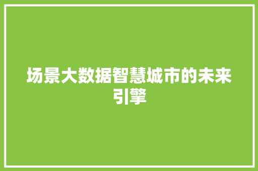场景大数据智慧城市的未来引擎