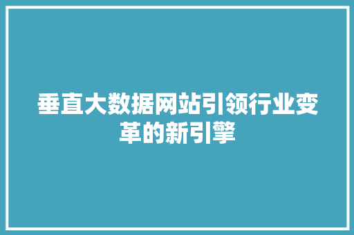 垂直大数据网站引领行业变革的新引擎