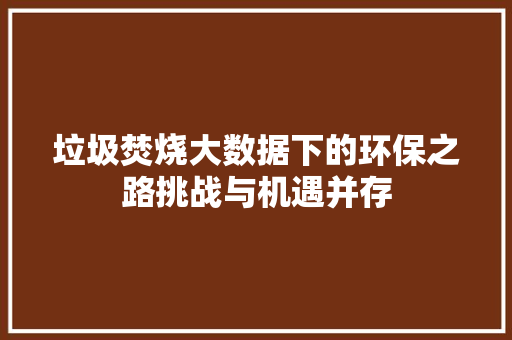 垃圾焚烧大数据下的环保之路挑战与机遇并存