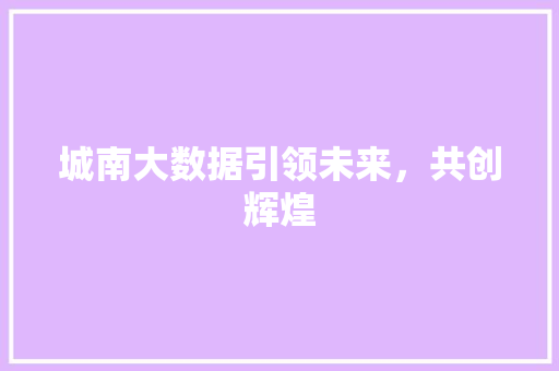 城南大数据引领未来，共创辉煌