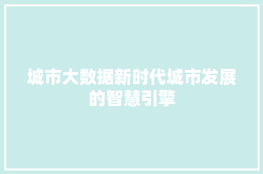 城市大数据新时代城市发展的智慧引擎