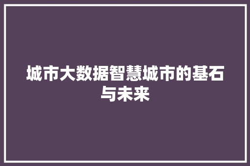 城市大数据智慧城市的基石与未来