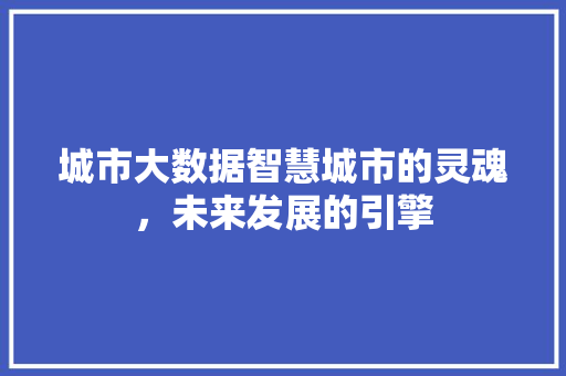 城市大数据智慧城市的灵魂，未来发展的引擎