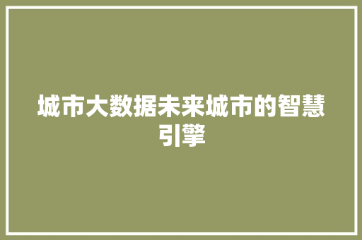 城市大数据未来城市的智慧引擎
