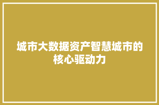 城市大数据资产智慧城市的核心驱动力