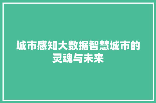 城市感知大数据智慧城市的灵魂与未来
