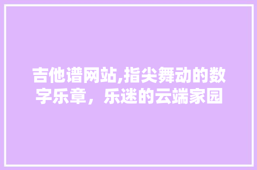 吉他谱网站,指尖舞动的数字乐章，乐迷的云端家园