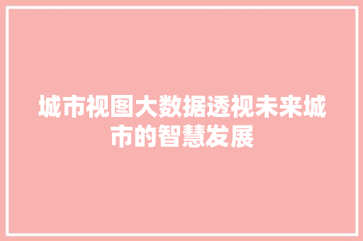 城市视图大数据透视未来城市的智慧发展 SEO教程
