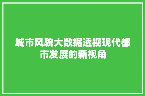 城市风貌大数据透视现代都市发展的新视角