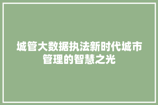 城管大数据执法新时代城市管理的智慧之光