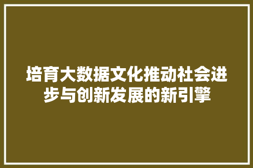 培育大数据文化推动社会进步与创新发展的新引擎