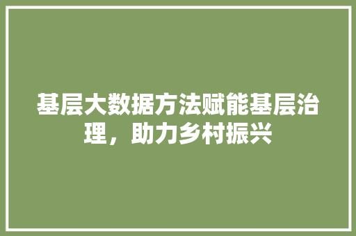 基层大数据方法赋能基层治理，助力乡村振兴