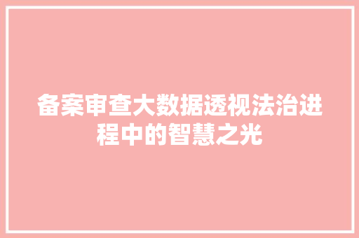 备案审查大数据透视法治进程中的智慧之光