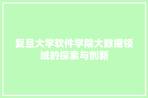复旦大学软件学院大数据领域的探索与创新