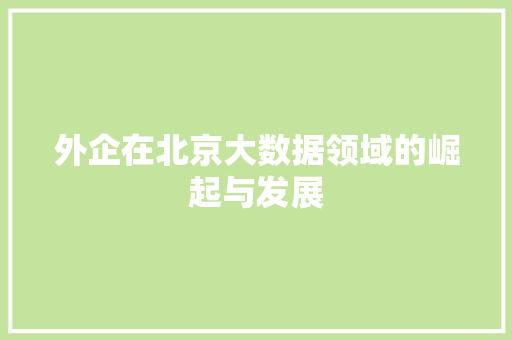 外企在北京大数据领域的崛起与发展