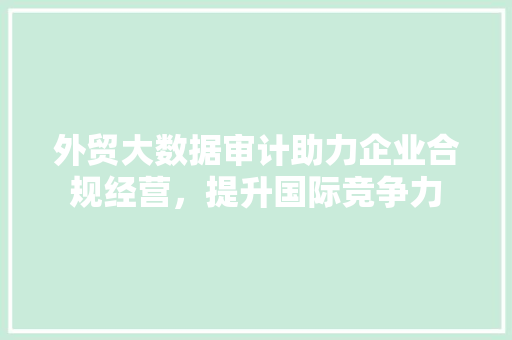 外贸大数据审计助力企业合规经营，提升国际竞争力