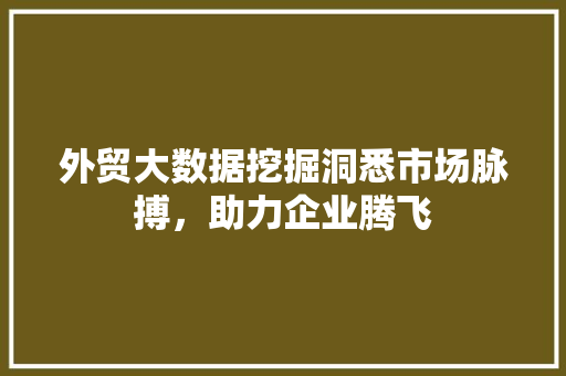 外贸大数据挖掘洞悉市场脉搏，助力企业腾飞
