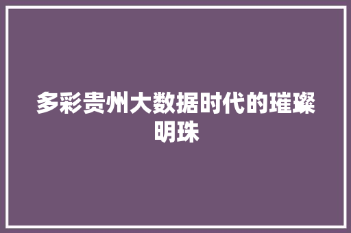 多彩贵州大数据时代的璀璨明珠