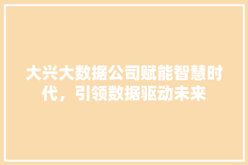 大兴大数据公司赋能智慧时代，引领数据驱动未来